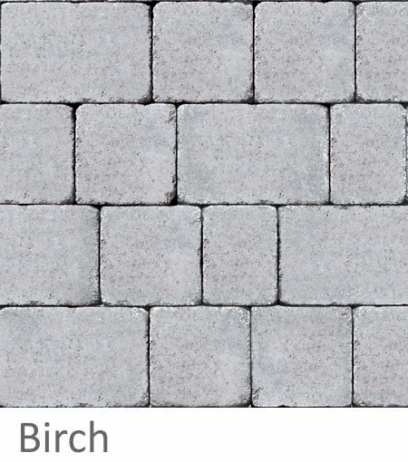  Birch 