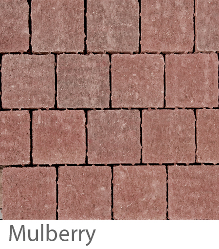  Mulberry 
